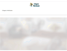 Tablet Screenshot of colagenohidrolisado.com